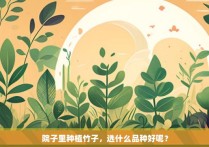 院子里种植竹子，选什么品种好呢？