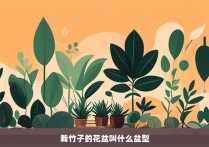 栽竹子的花盆叫什么盆型