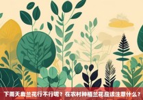 下雨天栽兰花行不行呢？在农村种植兰花应该注意什么？