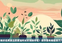 栽好后再拔出的葱如何长时间保存呢？保存葱有哪些技巧？