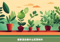 老家适合栽什么花草树木