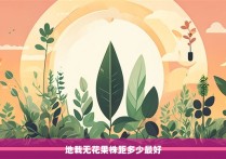 地栽无花果株距多少最好