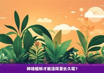 种啥植物才能活得更长久呢？