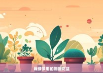 栽绿箩用的陶瓷花盆