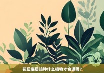 花坛底层该种什么植物才合适呢？