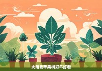 大院栽苹果树好不好看