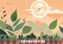 二月栽月季花好不好活呀