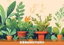 家里栽柏树好不好风水