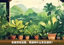 在楼顶花坛里，我能种什么花合适吗？