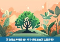 高白花盆养啥绿植？哪个绿植放白高盆里好看？