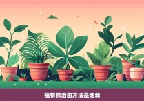 植物救治的方法是地栽