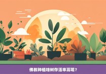 佛教种植啥树存活率高呢？