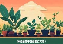 种植的茄子苗需要打叉吗？