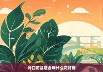 浅口花盆适合栽什么花好看