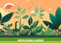 花园外适合栽什么植物好