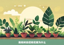 栽桃树会招桃花嘛为什么