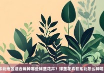 东北地区适合栽种哪些球茎花卉？球茎花卉在东北怎么种呢？