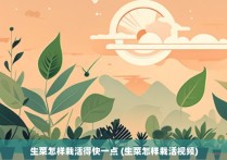 生菜怎样栽活得快一点 (生菜怎样栽活视频)