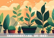 马樱花老桩栽植技巧大揭秘，如何一栽就活？