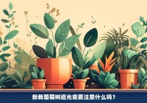 新栽葡萄树遮光需要注意什么吗？