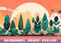 绿色苔藓栽种蝴蝶兰，效果如何呢？做法怎么样呢？