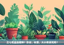 三七花盆选哪种？形状、材质、大小有讲究吗？