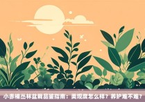 小赤楠丛林盆栽品鉴指南：美观度怎么样？养护难不难？
