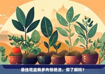 悬挂花盆栽多肉惊艳法，你了解吗？