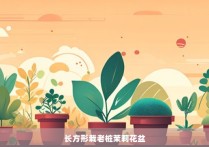 长方形栽老桩茉莉花盆