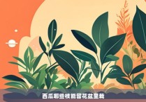 西瓜哪些枝能留花盆里栽