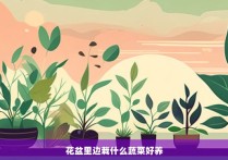 花盆里边栽什么蔬菜好养