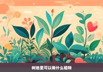 树地里可以栽什么植物