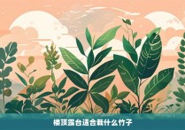 楼顶露台适合栽什么竹子