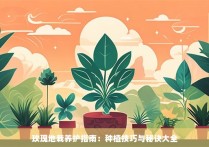 玫瑰地栽养护指南：种植技巧与秘诀大全