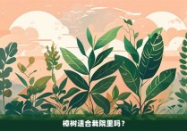 樟树适合栽院里吗？