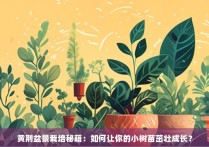 黄荆盆景栽培秘籍：如何让你的小树苗茁壮成长？
