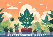 兰花移栽后多久需要杀菌吗？怎么杀菌呢？