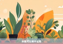 水瓶可以栽什么花