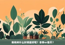 栽桃树什么时候最好呢？冬季or春天？