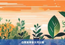 白菜发芽多久可以栽