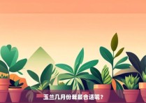 玉兰几月份栽最合适呢？