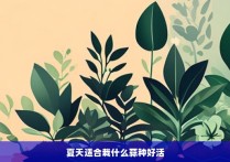 夏天适合栽什么蒜种好活