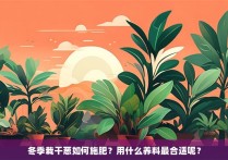 冬季栽干葱如何施肥？用什么养料最合适呢？