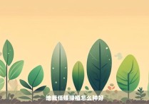 地栽低矮绿植怎么种好