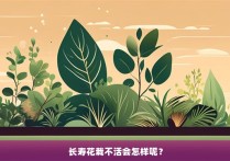 长寿花栽不活会怎样呢？