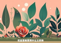 花盆里栽菜用什么土好养