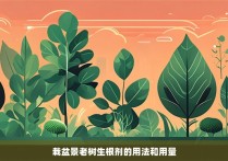 栽盆景老树生根剂的用法和用量