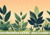 庭院种葡萄树美观栽种攻略有哪些？栽种技巧方能美观吗？