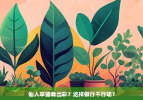 仙人掌插栽出彩？这样做行不行呢？