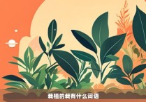 栽植的栽有什么词语